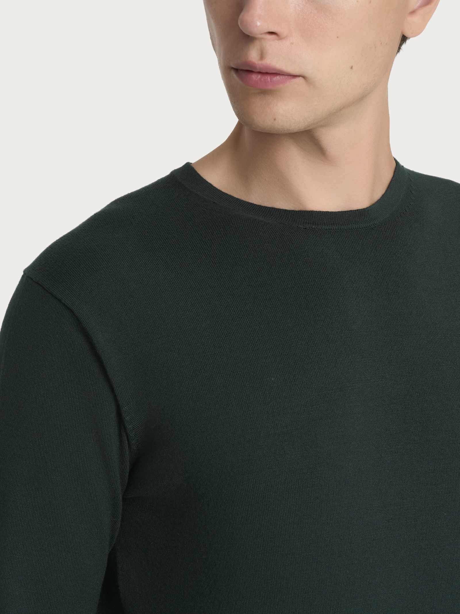 Pull girocollo Four Seasons - Scarab - Image 3